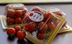 【4月13日(火)放送】高品質トマト《寿美令》メディア情報のお知らせ
