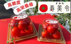 高品質トマト《寿美令》今季販売終了予告（7月初旬）
