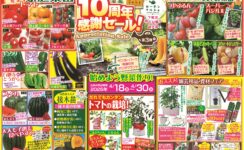 ガーデンマルシェ下関店より《10周年感謝セール★第3弾》のお知らせです