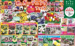 ガーデンマルシェ防府店より《秋のガーデニングフェア》のお知らせです