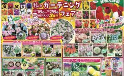 ガーデンマルシェ防府店より《秋のガーデニングフェア》のお知らせです